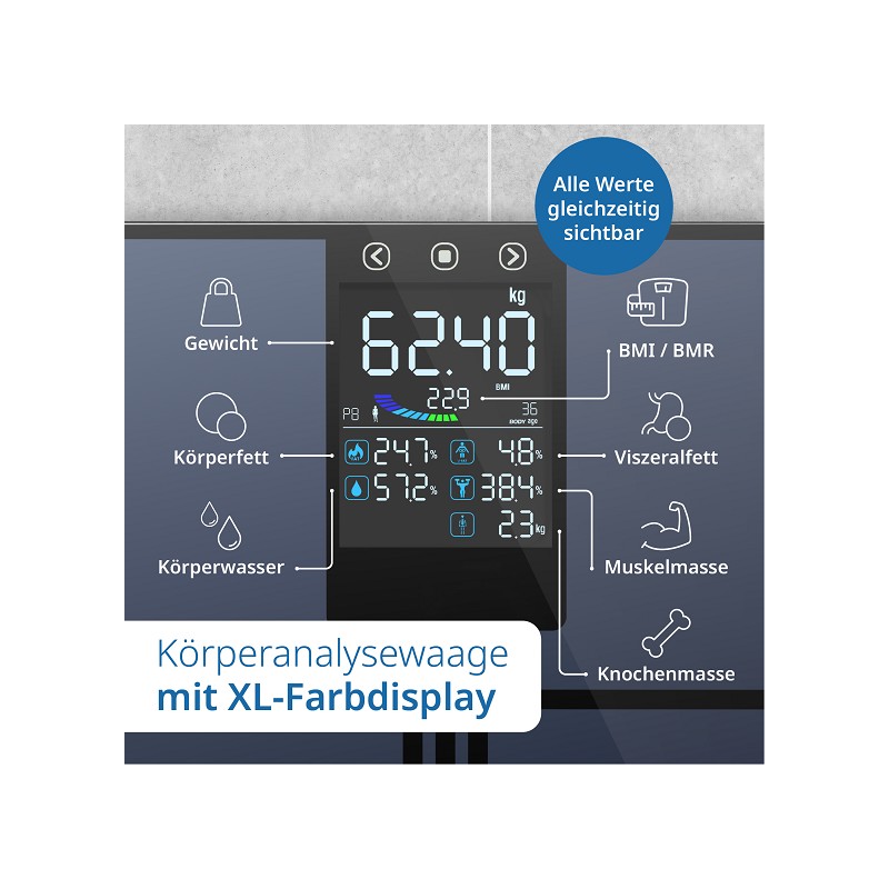 ADE Analysewaage BA2500-1