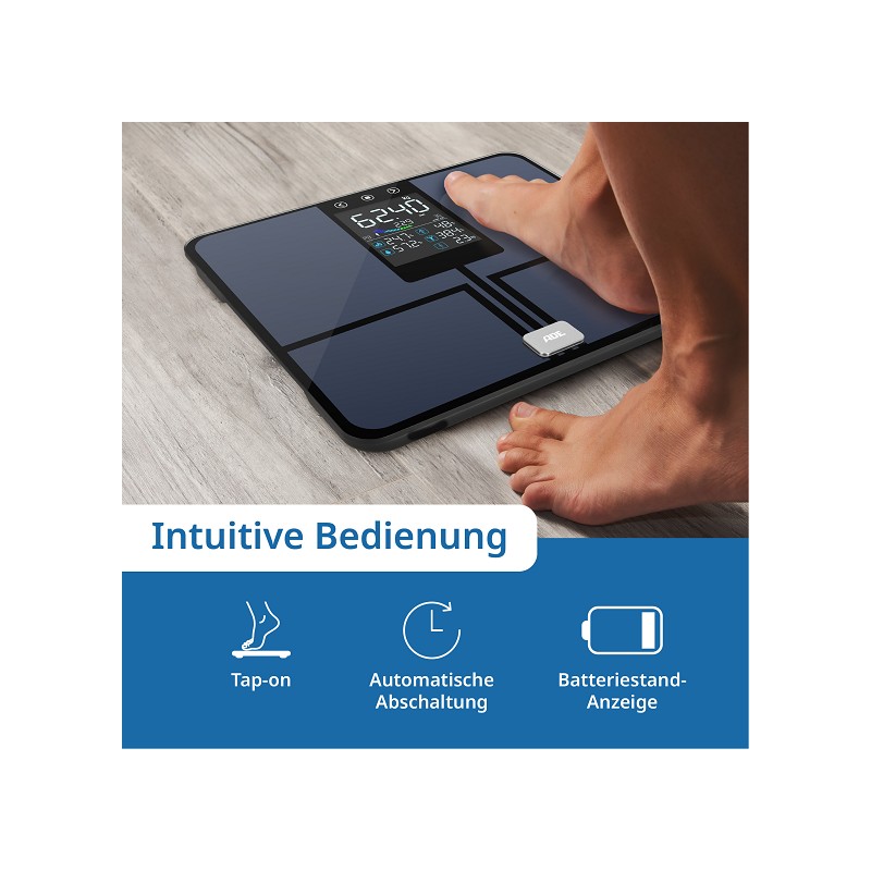 ADE Analysewaage BA2500-1