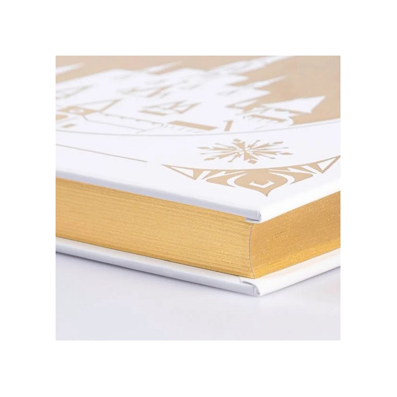 Disney: Das große goldene Buch der Eiskönigin-Geschichten (Buch)