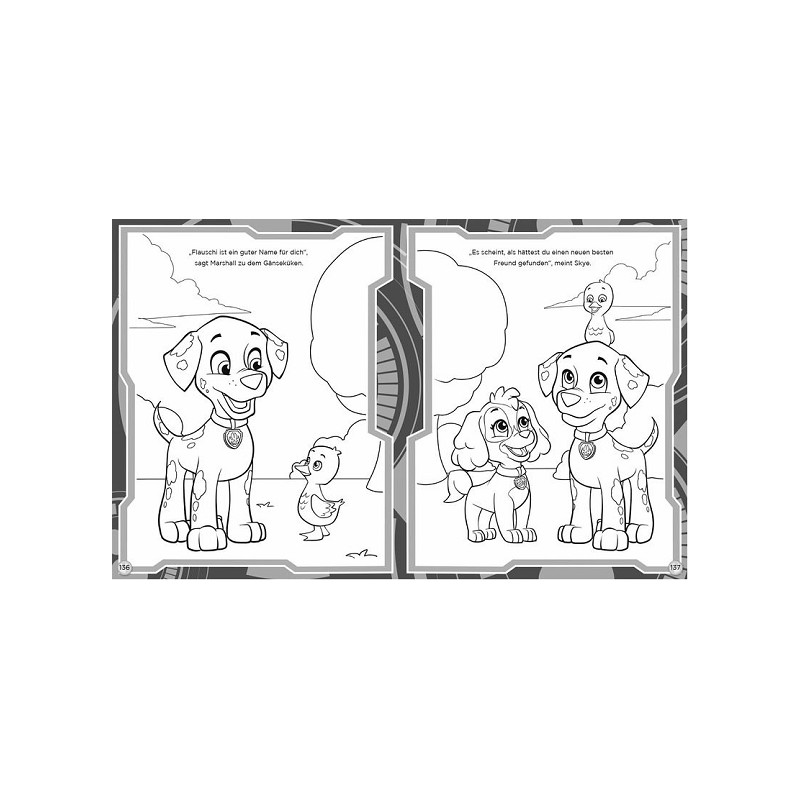PAW Patrol Bücher-Set 2-tlg.