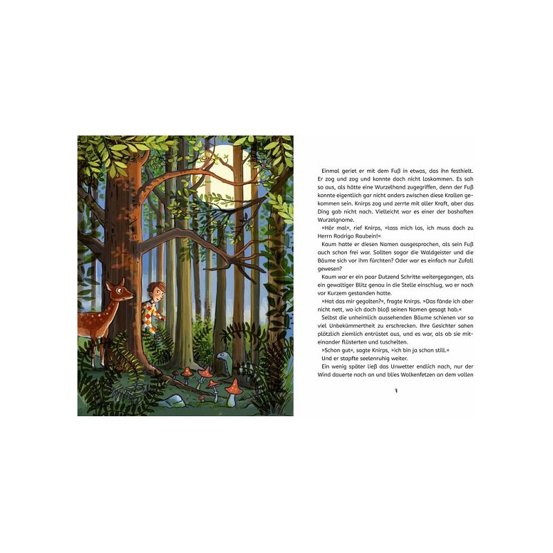 Das große Geschichtenfest (Buch)