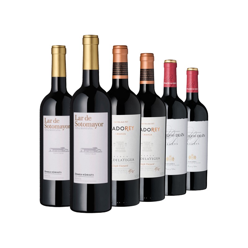 Weinset Weine aus Spaniens Topregionen