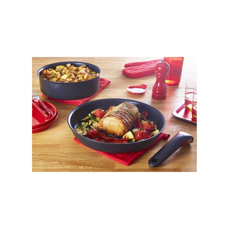 Tefal Ingenio Emotion Kunststoff-griff