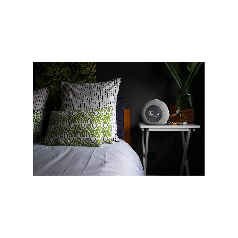 JBL Radiowecker Horizon 2 grau
