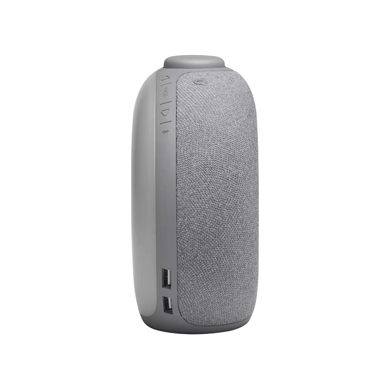 JBL Radiowecker Horizon 2 grau