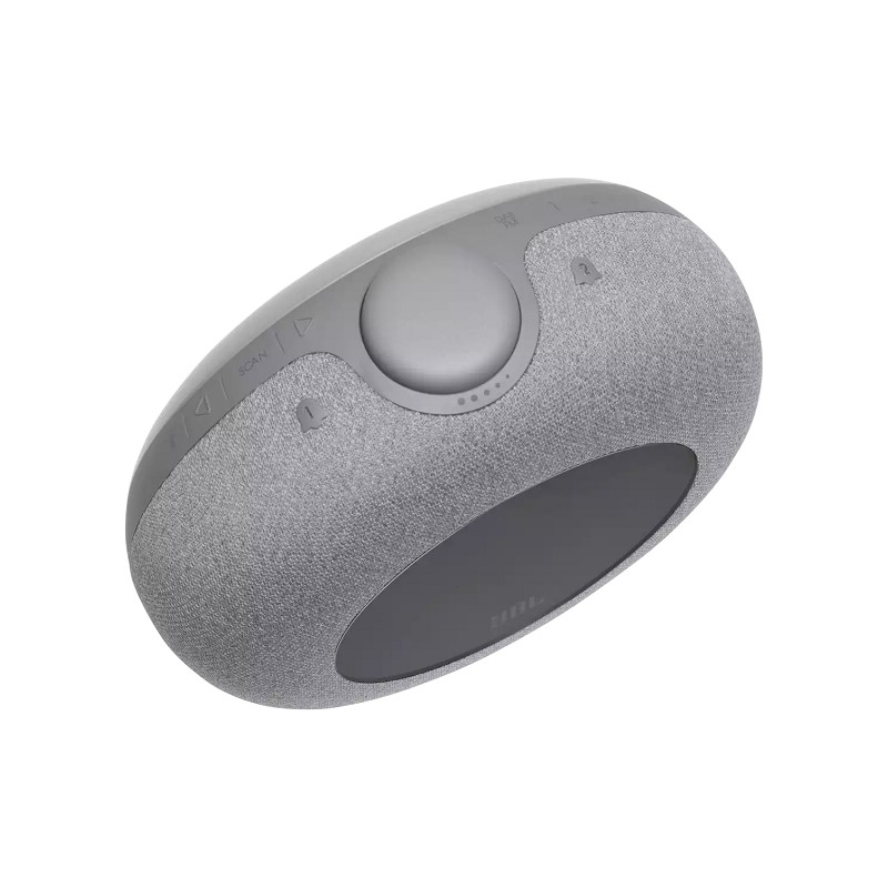 JBL Radiowecker Horizon 2 grau