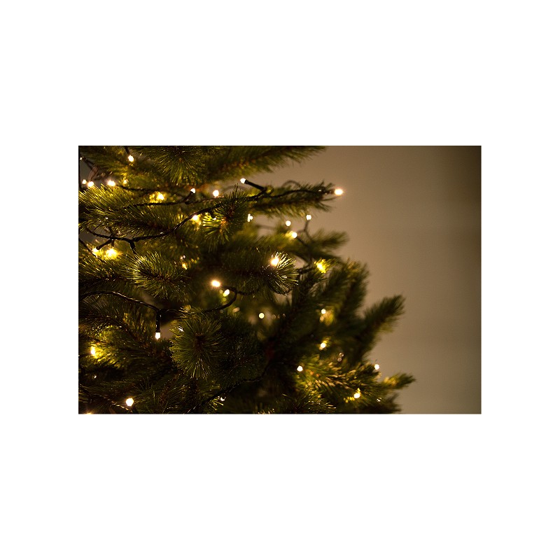 ZAU ZAU HOME LED Lichterkette