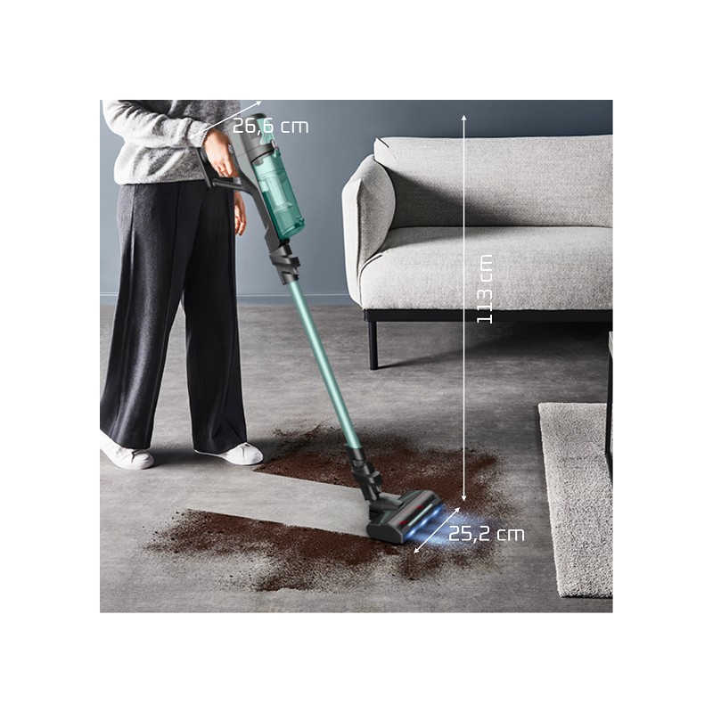 Rowenta X-Force Flex 8.80 Allergy