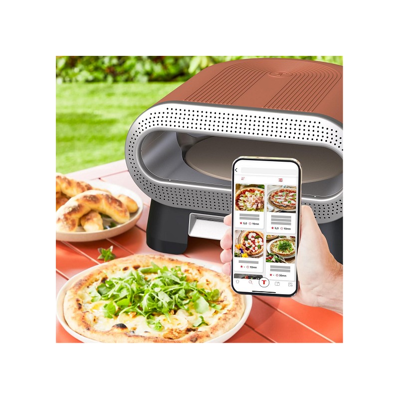 Tefal Elektro Pizza Ofen Pronto