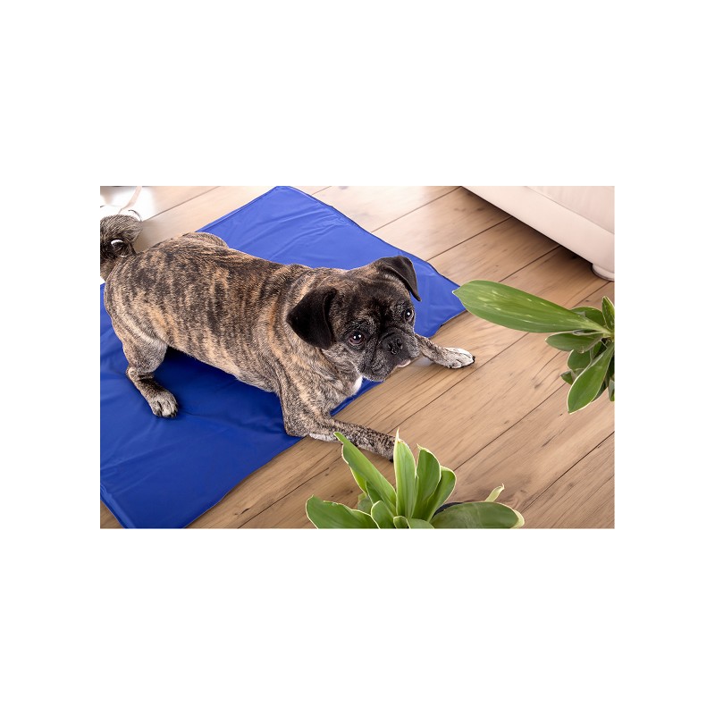 TREUEHELDEN Tier Kühlmatte M