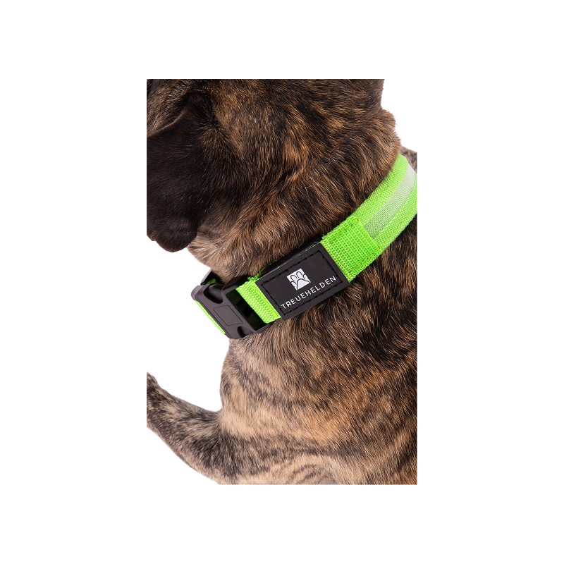TREUEHELDEN LED-Halsband grün