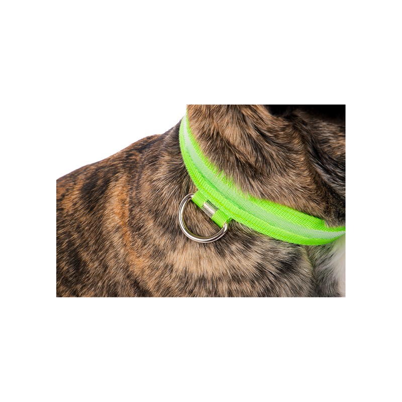 TREUEHELDEN LED-Halsband grün