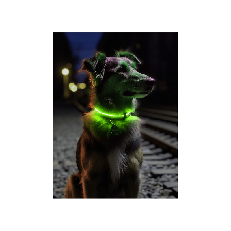 TREUEHELDEN LED-Halsband grün