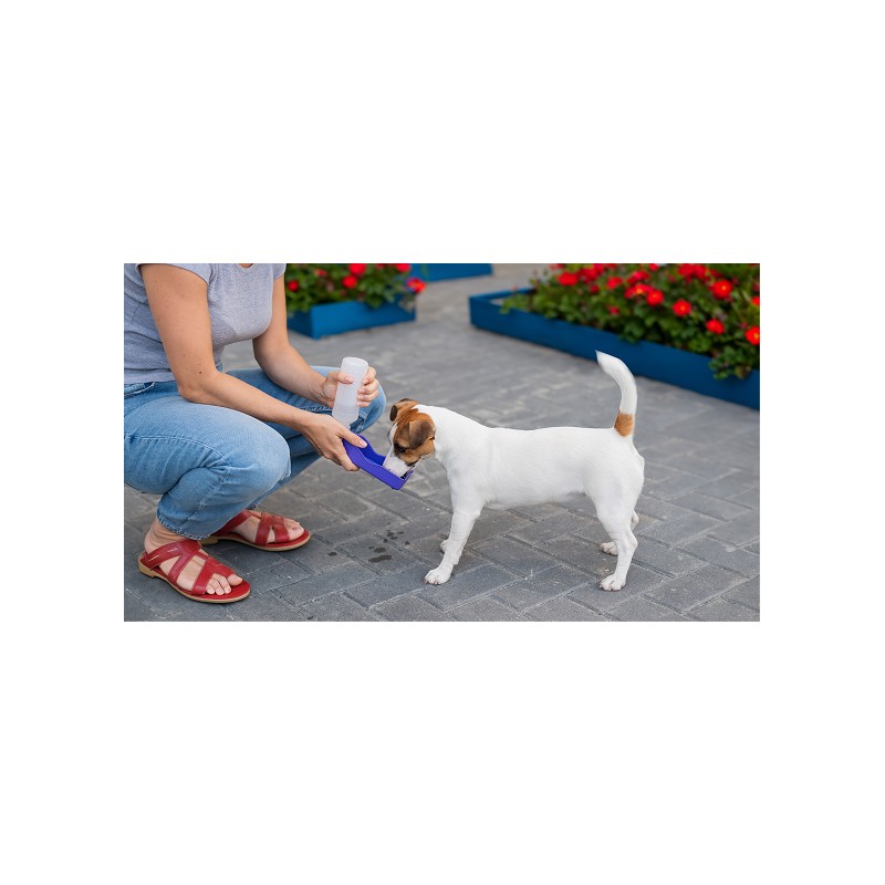 TREUEHELDEN Hunde Trinkflasche