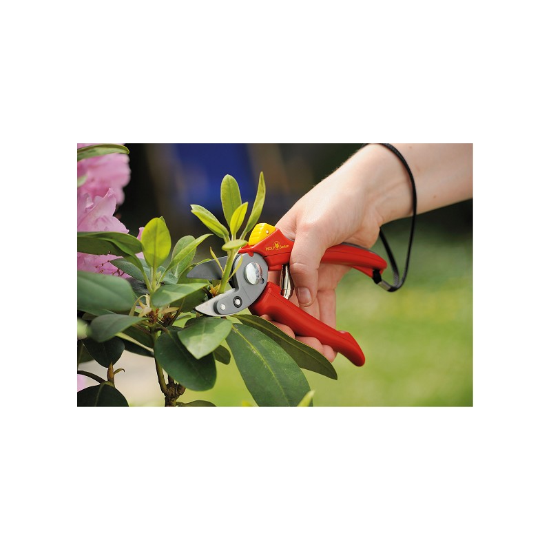 WOLFGarten Gartenschere für 200 °P + 16,99 € » portofrei bestellen