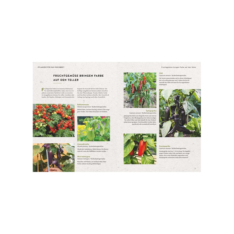 Produktbild 3 anzeigen