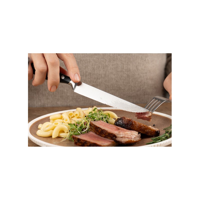 Berndorf Steakmesser-Set 2-tlg.
