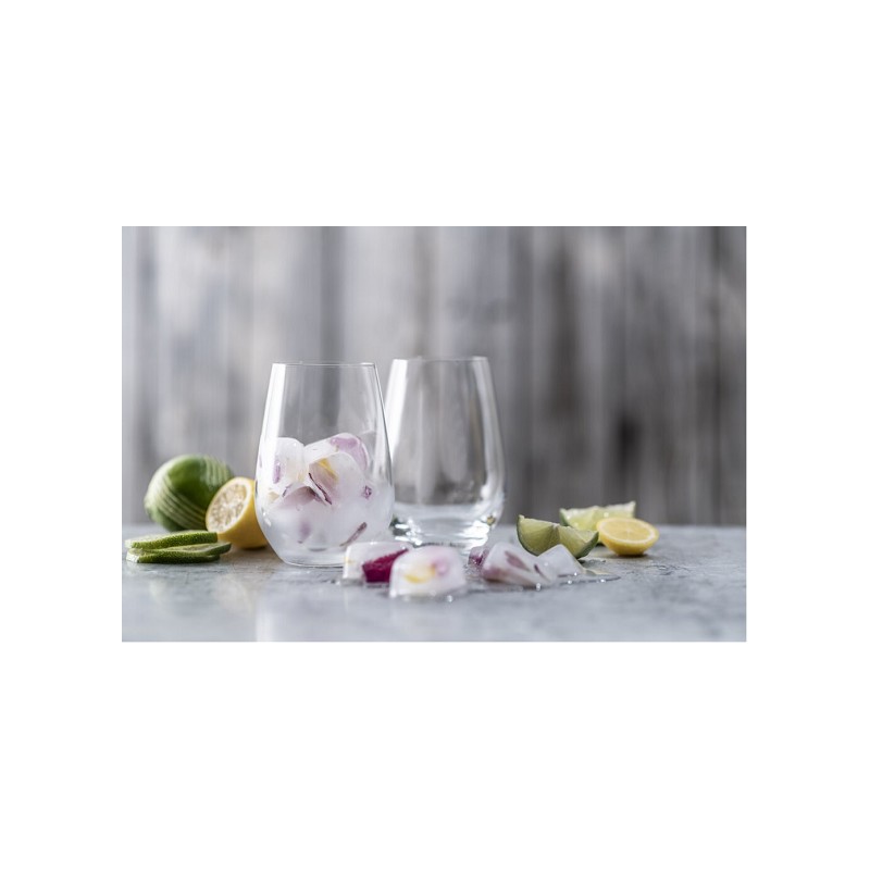 Schott Zwiesel Wassergläser-Set Forte 6-tlg.