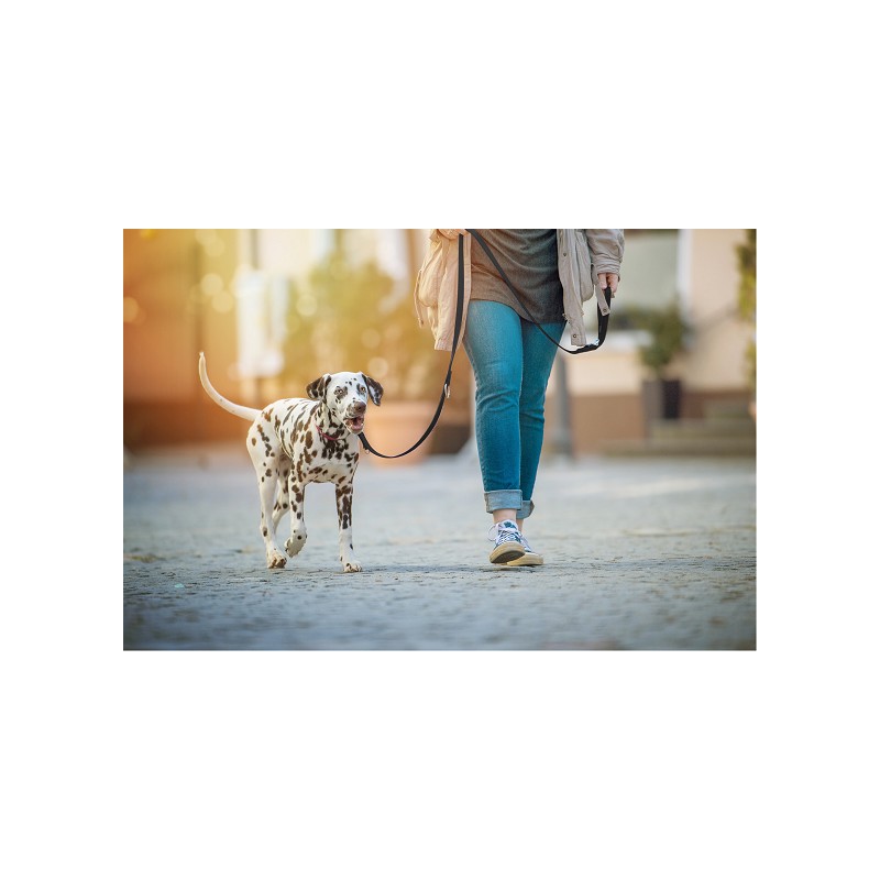 Produktbild 3 anzeigen